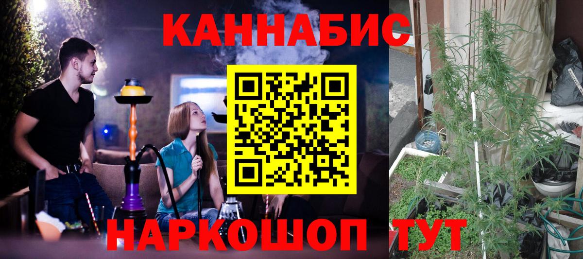 Конопля Ganja  Бошки марихуана марихуана  Конопля VHQ  Вход с VPN  Будённовск 